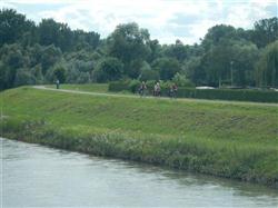 Radfahrer auf dem Rheindamm